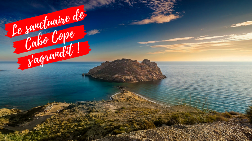 acheter isla del fraile