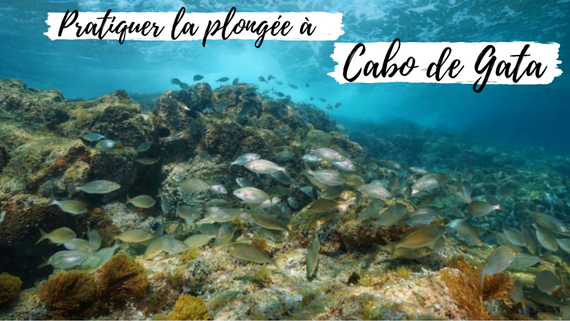 plongée cabo de gata