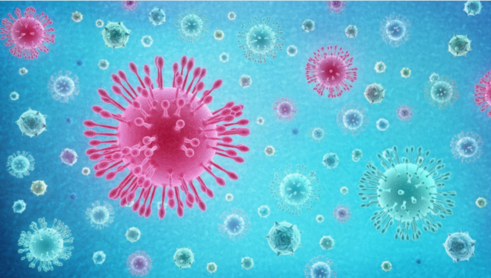 coronavirus espagne