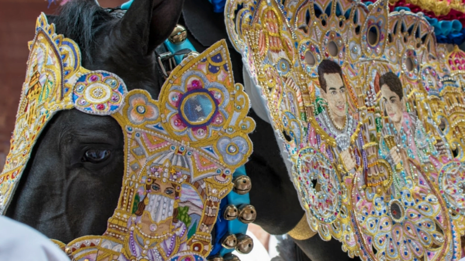 caballos del vino