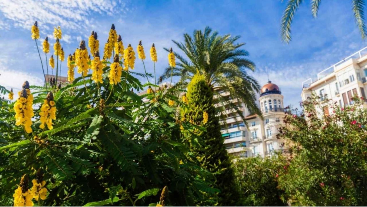 expatriation en espagne