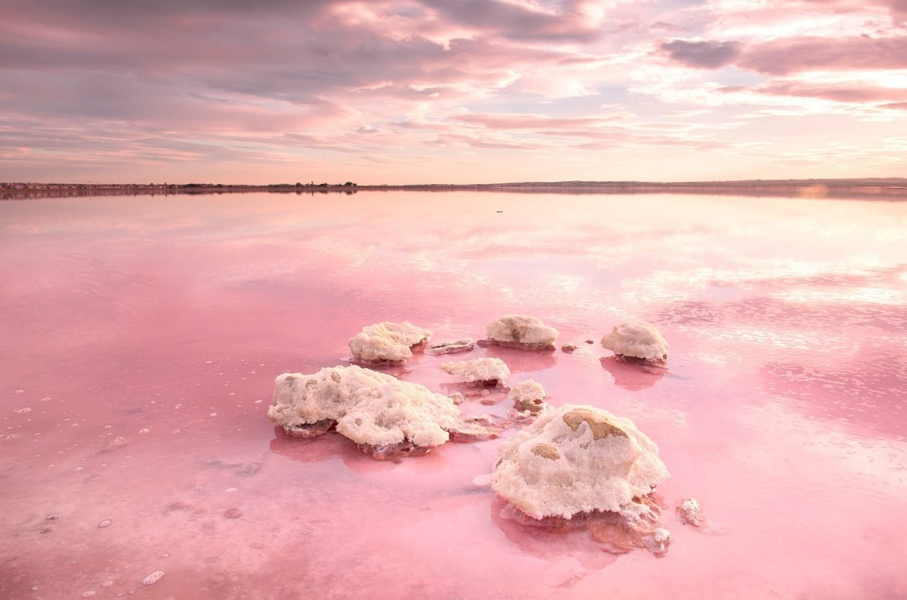 Lac Rose Torrevieja