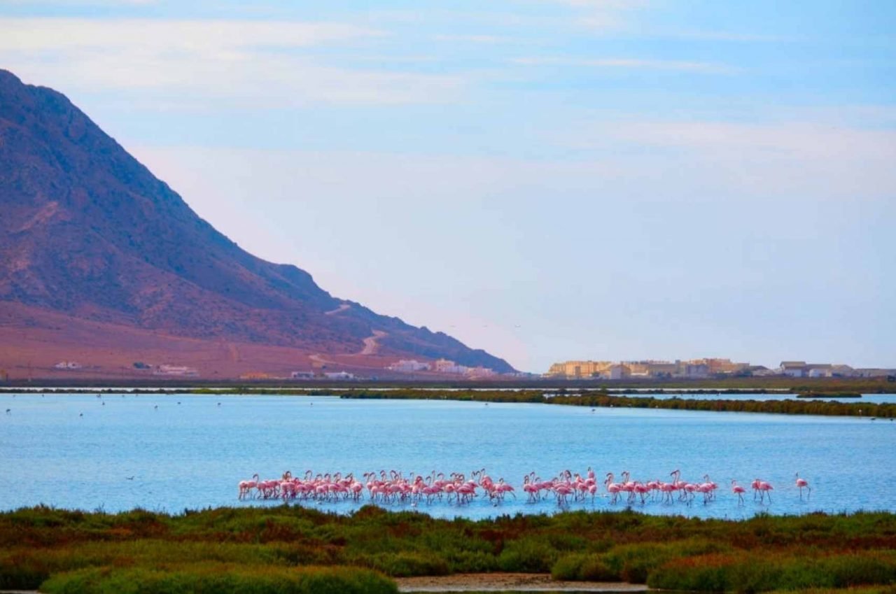 Cabo de Gata