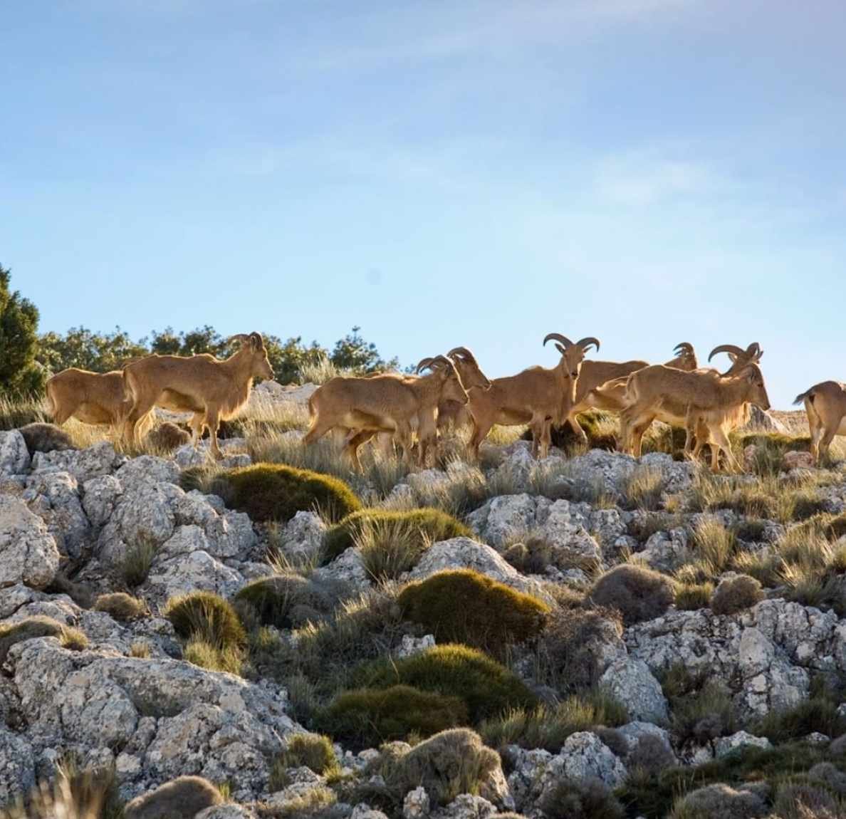 retraite en espagne