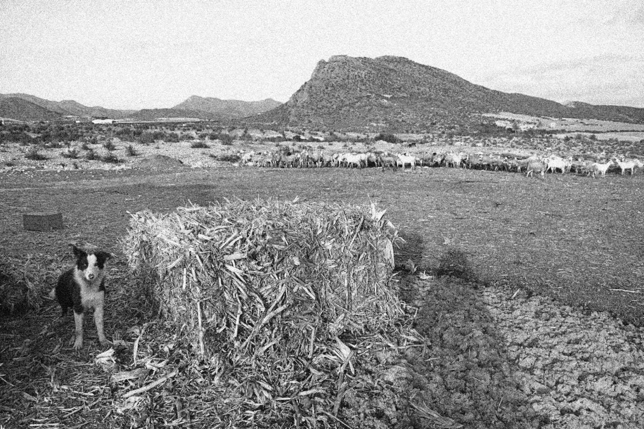 photographie espagne