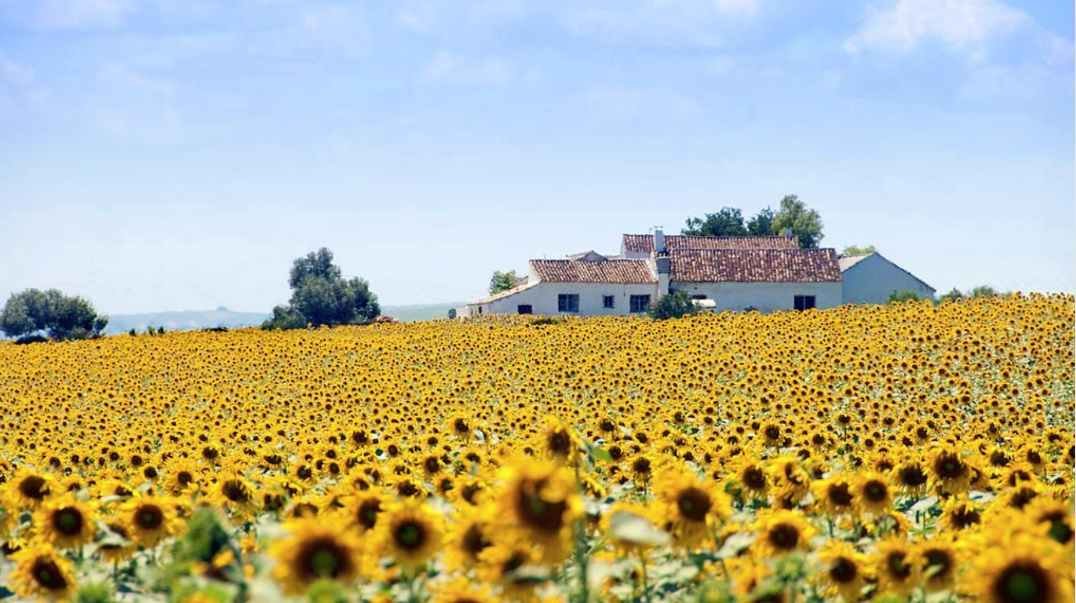 maison de campagne en Espagne