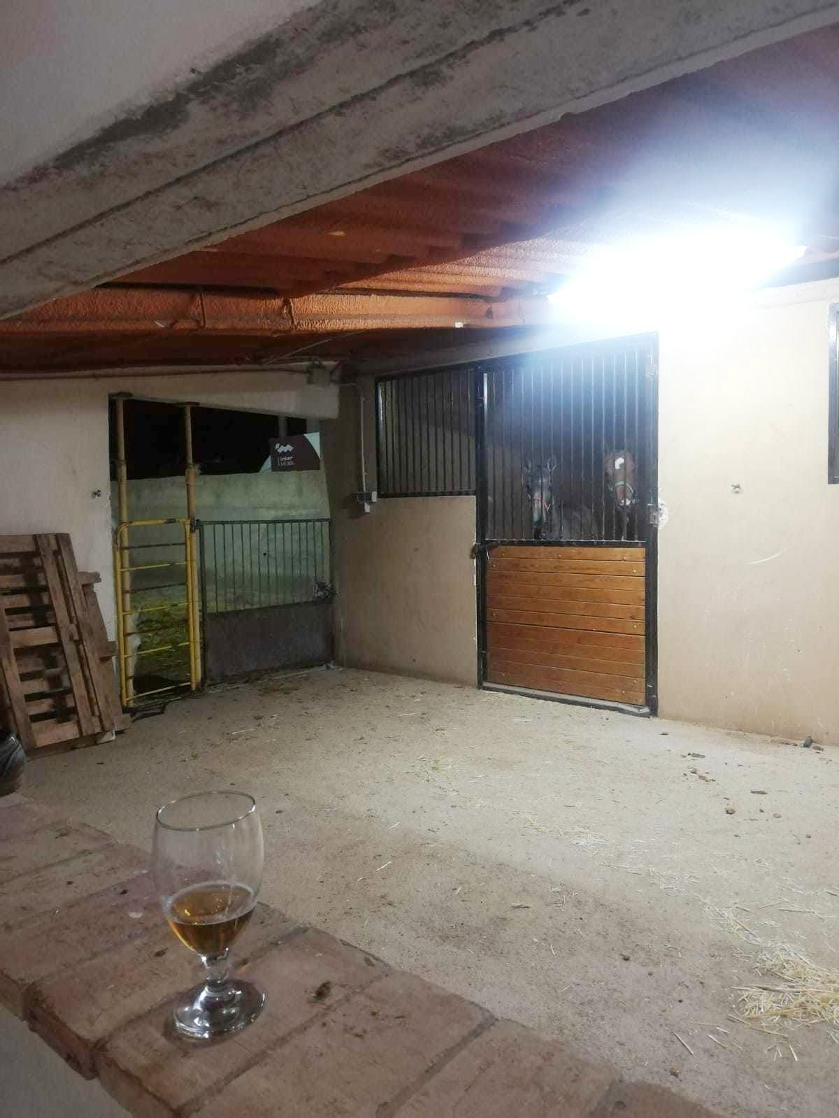 chevaux espagnols