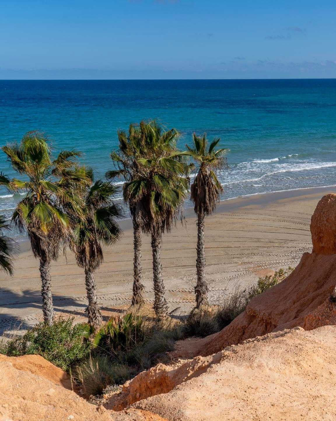 orihuela Costa