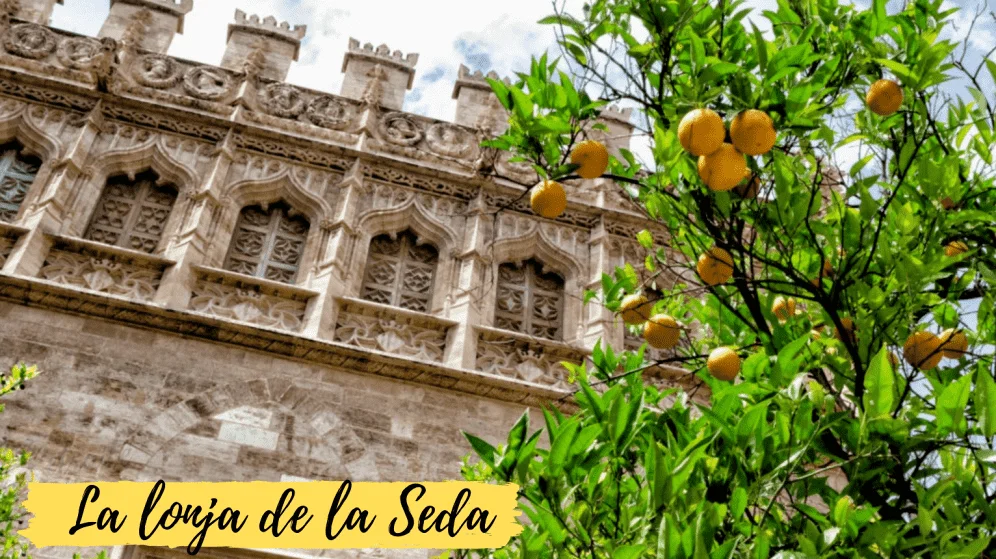 lonja de la seda